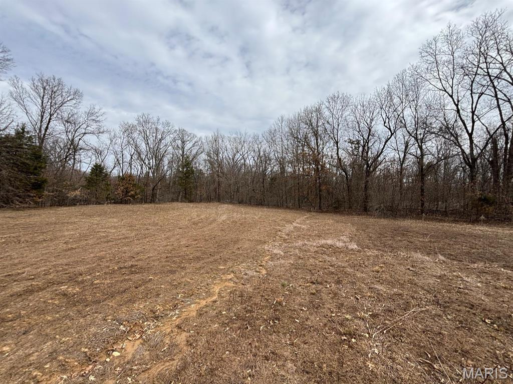 29 Leo Lane Perry, MO 63462 - Photo 4 of 7