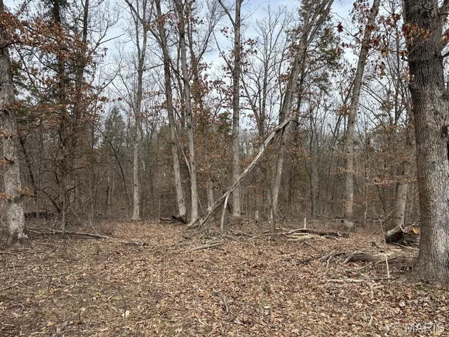 $129,000 | 29 Leo Lane, Perry, MO 63462