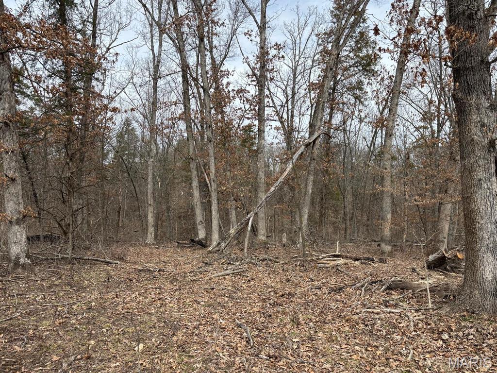 29 Leo Lane Perry, MO 63462 - Photo 5 of 7