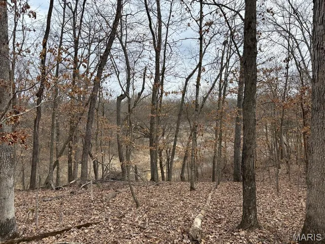 $129,000 | 29 Leo Lane, Perry, MO 63462