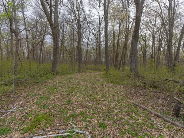 $25,000 | Tbd Tbd Destiny Drive, Garrison, MN 56450