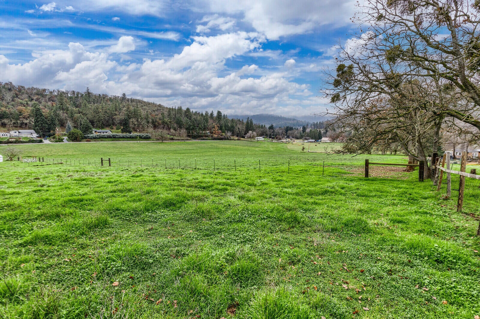 6674 Pioneer Road Medford, OR 97501 - Photo 12 of 68 05_PR_5_mls