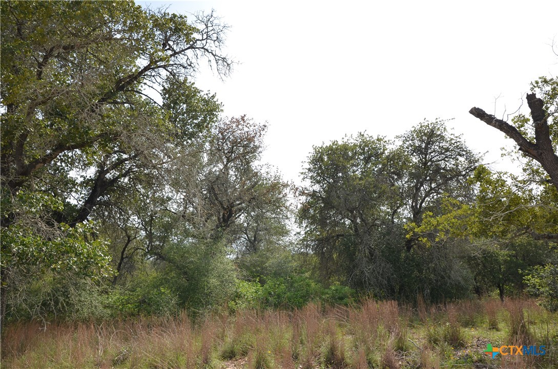 Lot 66 Powder Ridge Luling, TX 78648 - Photo 7 of 14