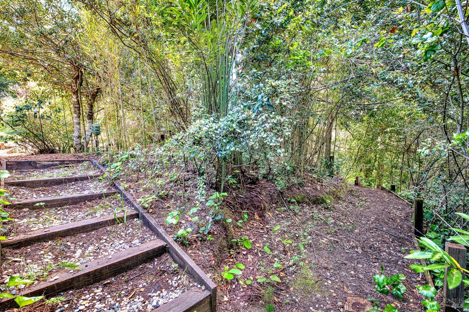 15715 Drake Road Guerneville, CA 95446 - Photo 45 of 46