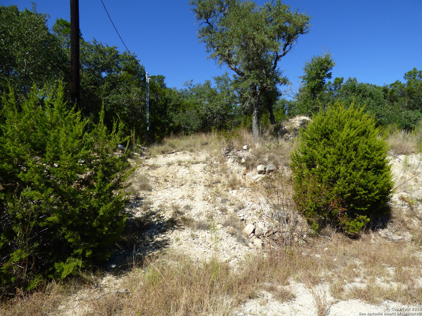 198 Magnolia Meadow Spring Branch, TX 78070 - Photo 4 of 10 a view of a garden