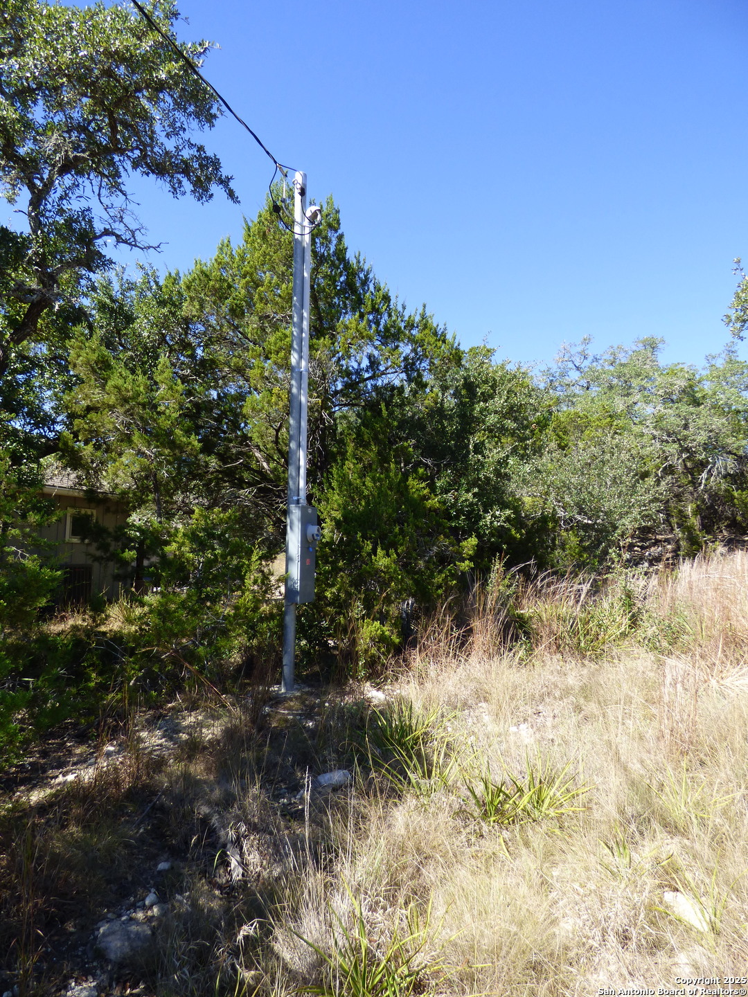 198 Magnolia Meadow Spring Branch, TX 78070 - Photo 5 of 10 a view of a yard with plants and a tree