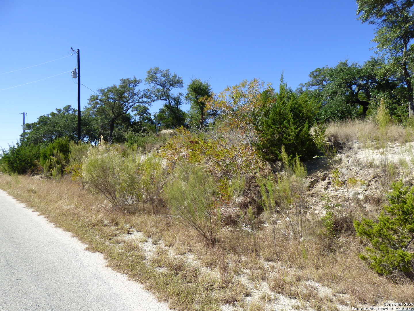 198 Magnolia Meadow Spring Branch, TX 78070 - Photo 9 of 10 a view of a yard