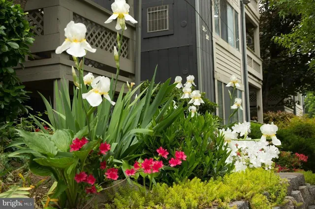 $1,999 | 916 Windbrooke Drive, Unit 916, Gaithersburg, MD 20879