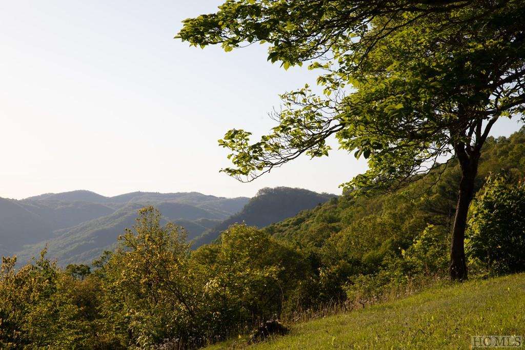 368 Stewart Road Cullowhee, NC 28723 - Photo 40 of 45 Gallery Image 40