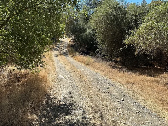 a view of a yard with trees