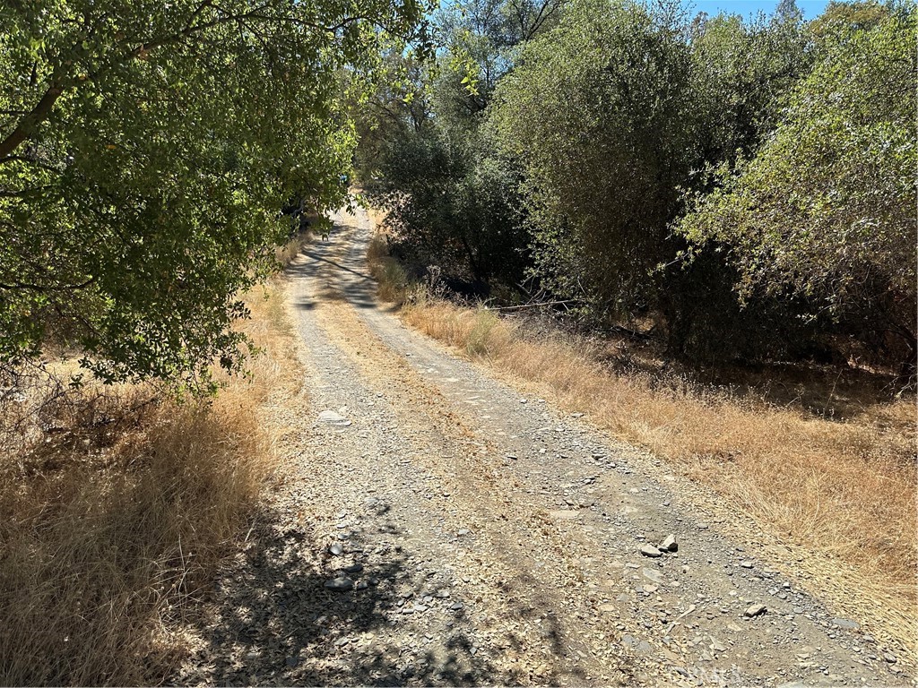 4275 Ashworth Road Mariposa, CA 95338 - Photo 5 of 8 a view of a yard with trees