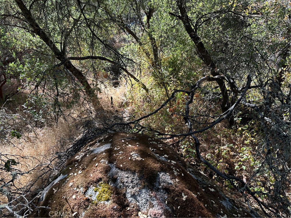 4275 Ashworth Road Mariposa, CA 95338 - Photo 8 of 8