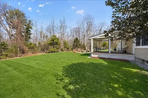 a view of a yard with plants and trees