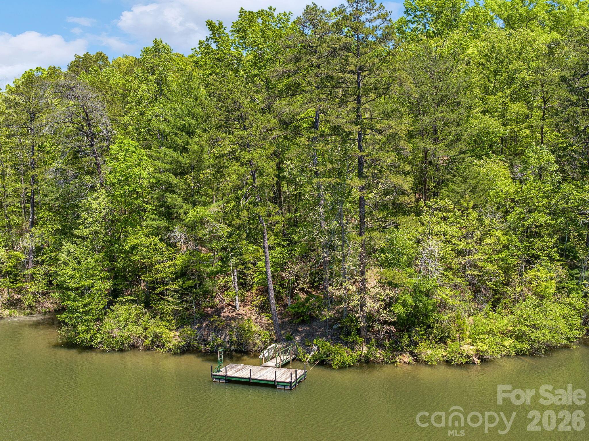 14 South Cove Road, Unit 14 Mill Spring, NC 28756 - Photo 3 of 4 a view of a lake with houses