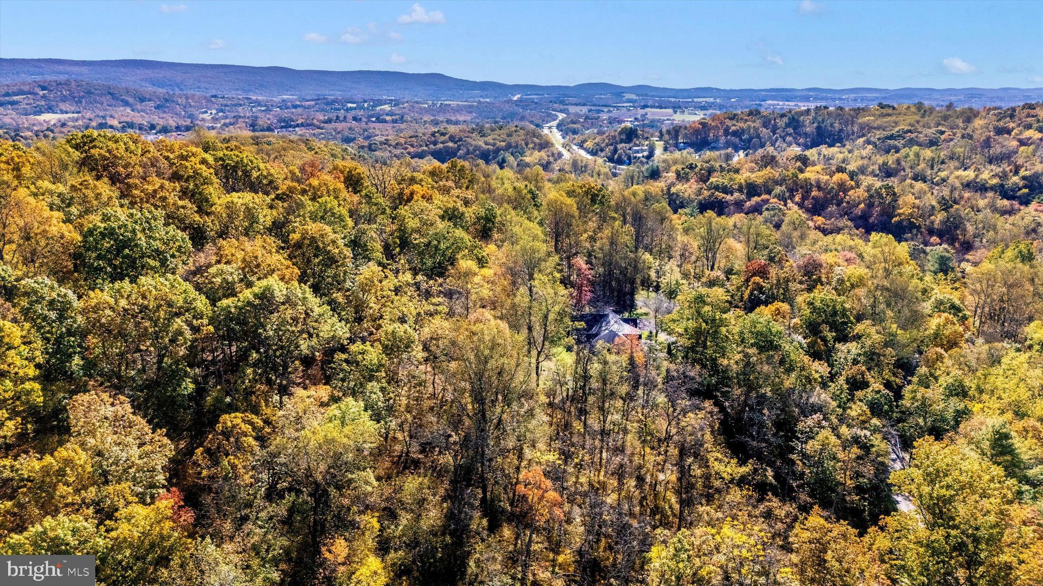 2240 Monument Road Myersville, MD 21773 - Photo 48 of 51