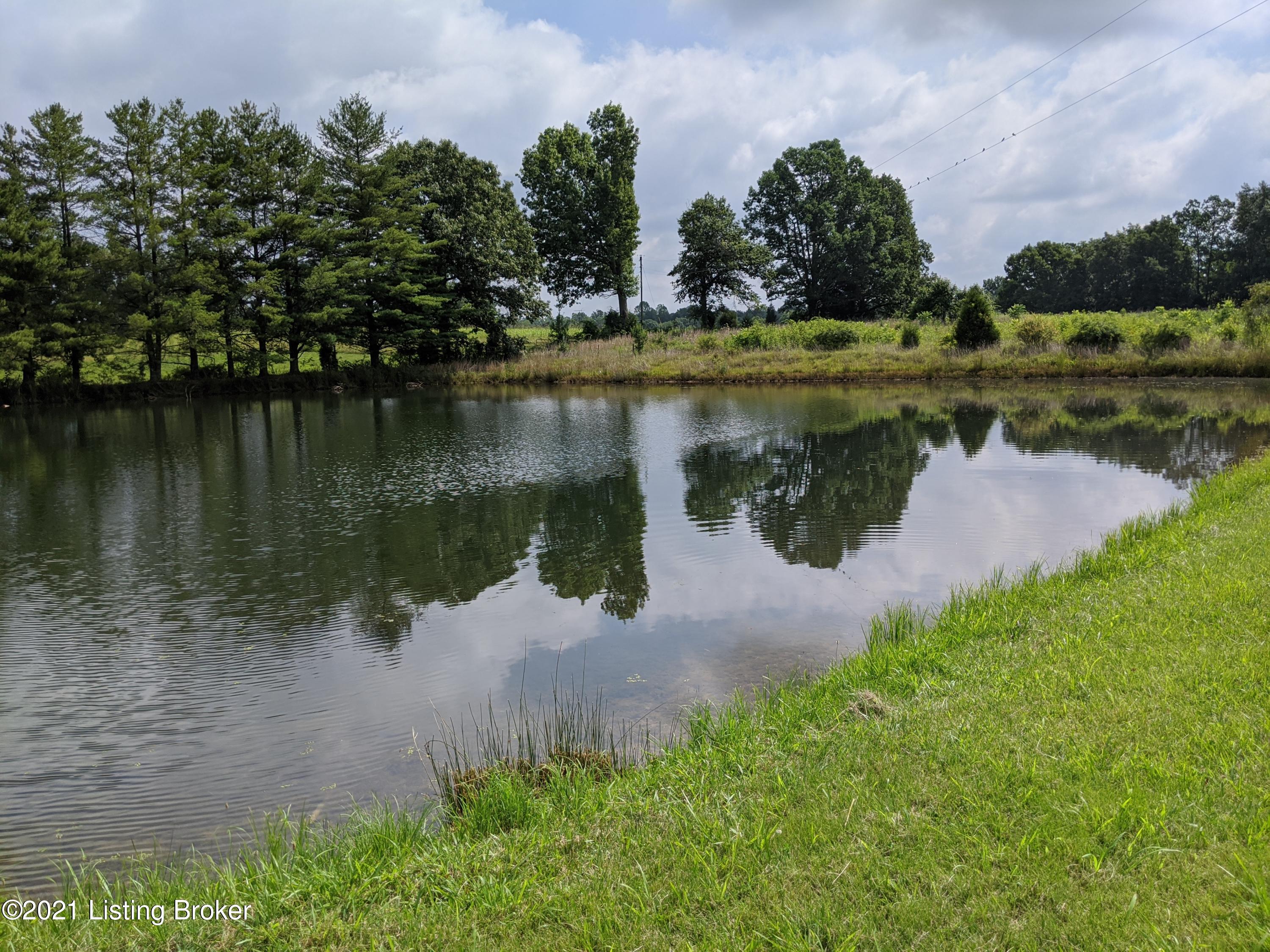 3541 Wilson Church Road Caneyville, KY 42721 - Photo 17 of 17 Caneyville Listing Pic4