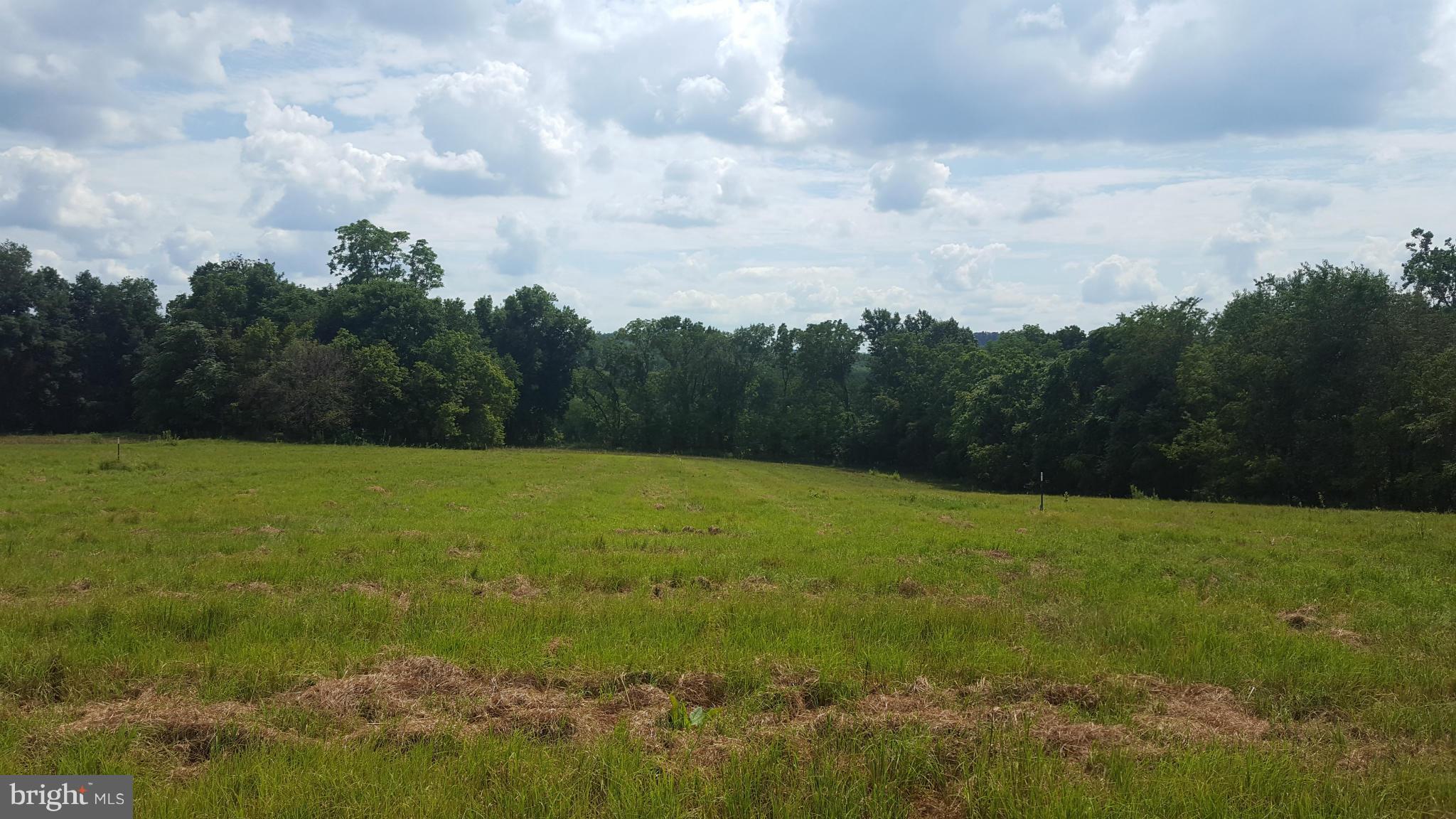7830 Timmons Road Union Bridge, MD 21791 - Photo 1 of 12 view looking south from home site