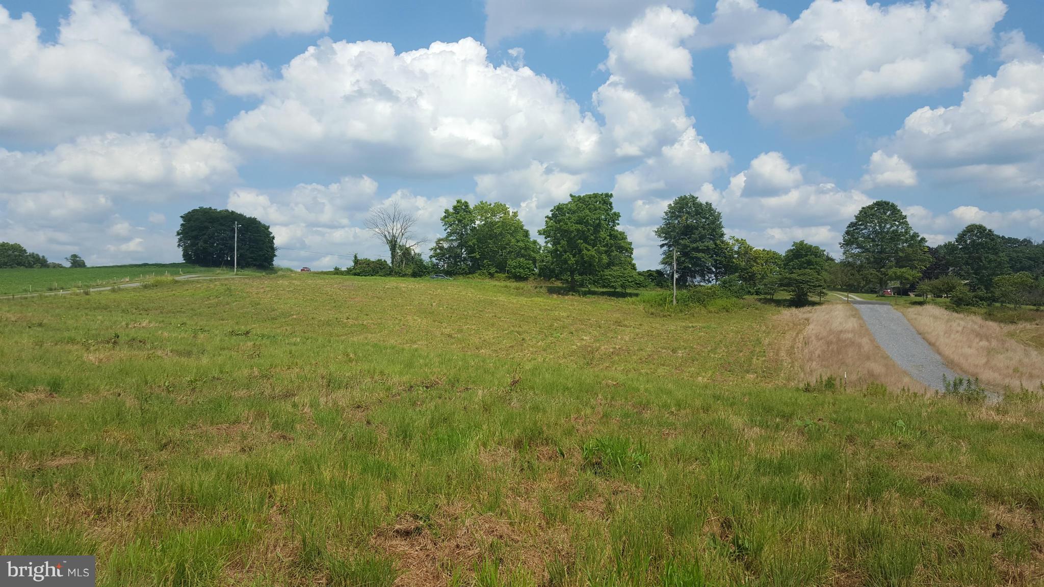 7830 Timmons Road Union Bridge, MD 21791 - Photo 2 of 12 view looking toward road from home site
