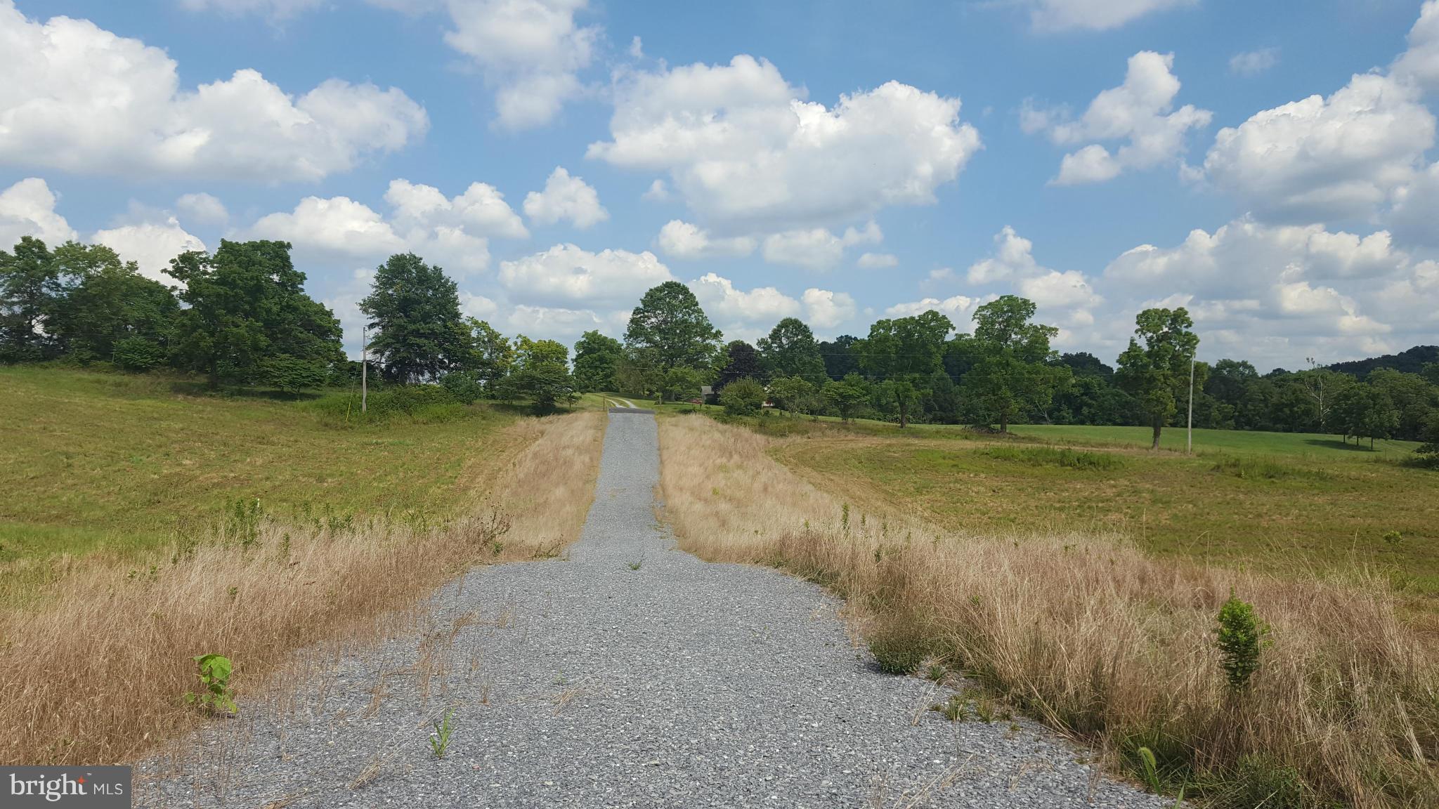 7830 Timmons Road Union Bridge, MD 21791 - Photo 12 of 12 Existing common driveway