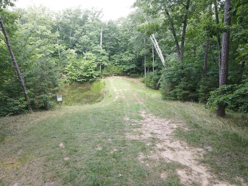 0 Forester Overlook Drive Rising Fawn, GA 30738 - Photo 19 of 25