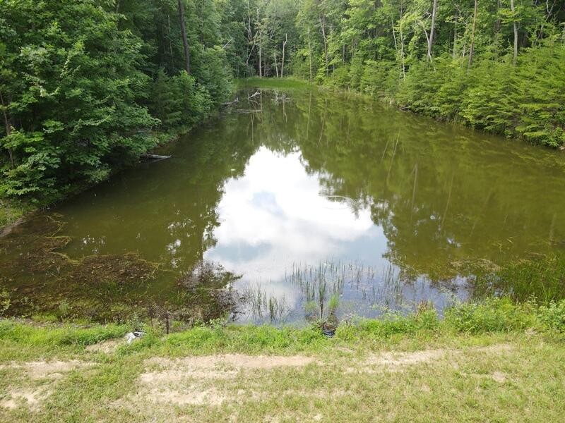 0 Forester Overlook Drive Rising Fawn, GA 30738 - Photo 24 of 25