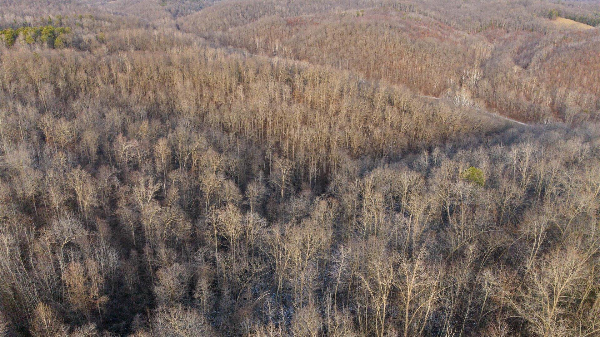 31201 Claypool Hollow Road McArthur, OH 45651 - Photo 75 of 89 083-z 31201 Claypool117