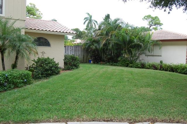 Front Yard