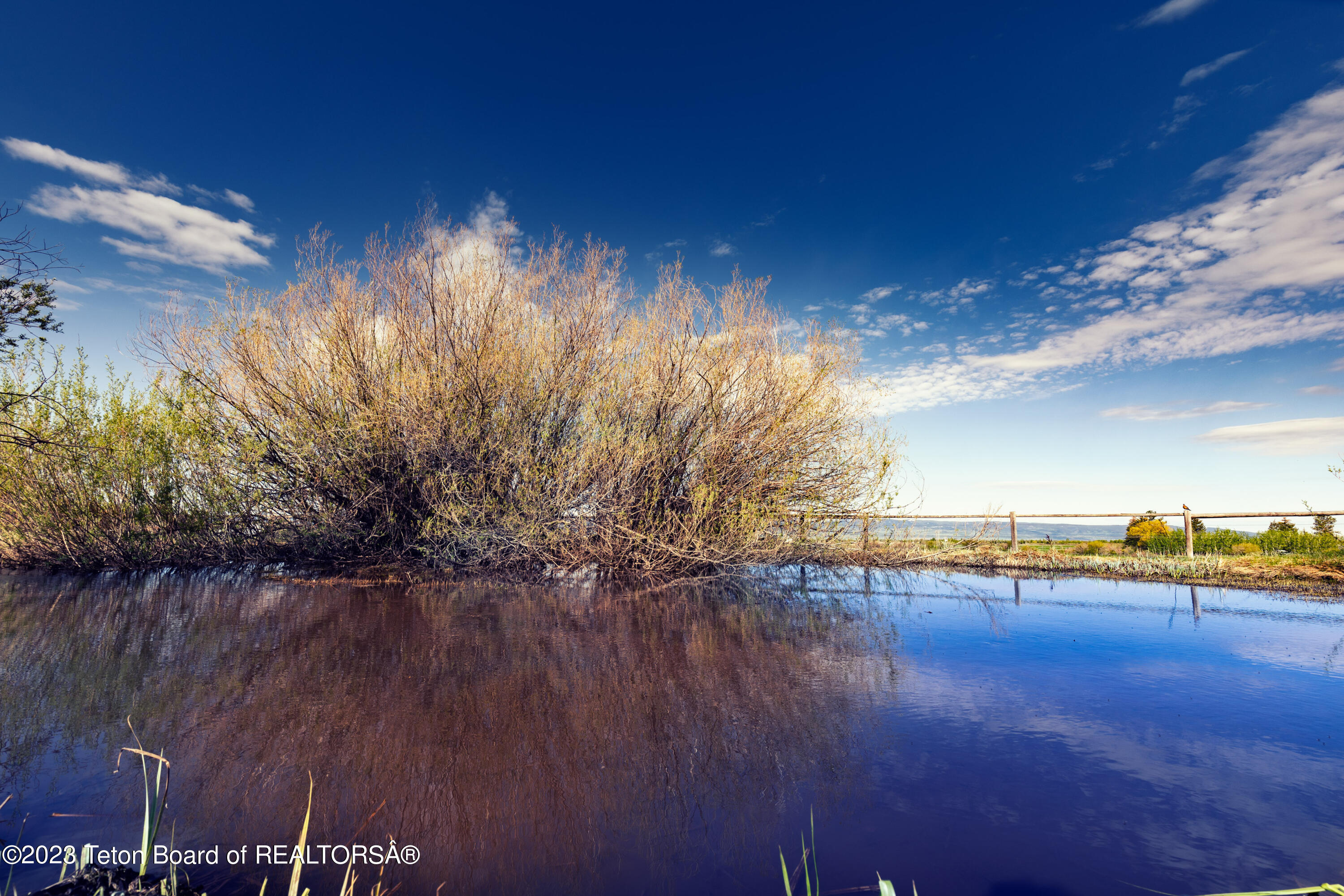 1735 Crooked Creek Road Alta, WY 83414 - Photo 2 of 9 _A1A7179
