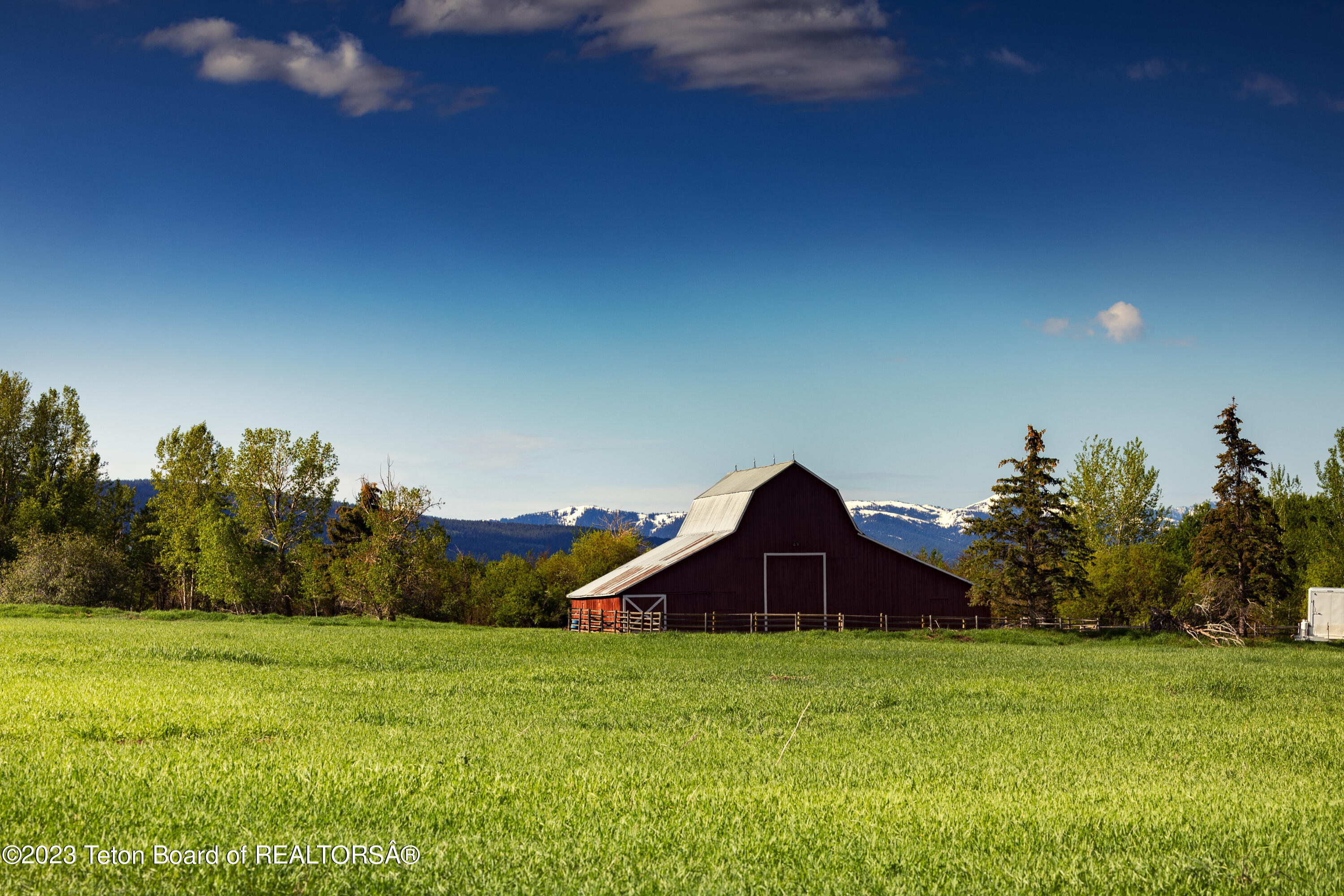 1735 Crooked Creek Road Alta, WY 83414 - Photo 4 of 9 _A1A7185