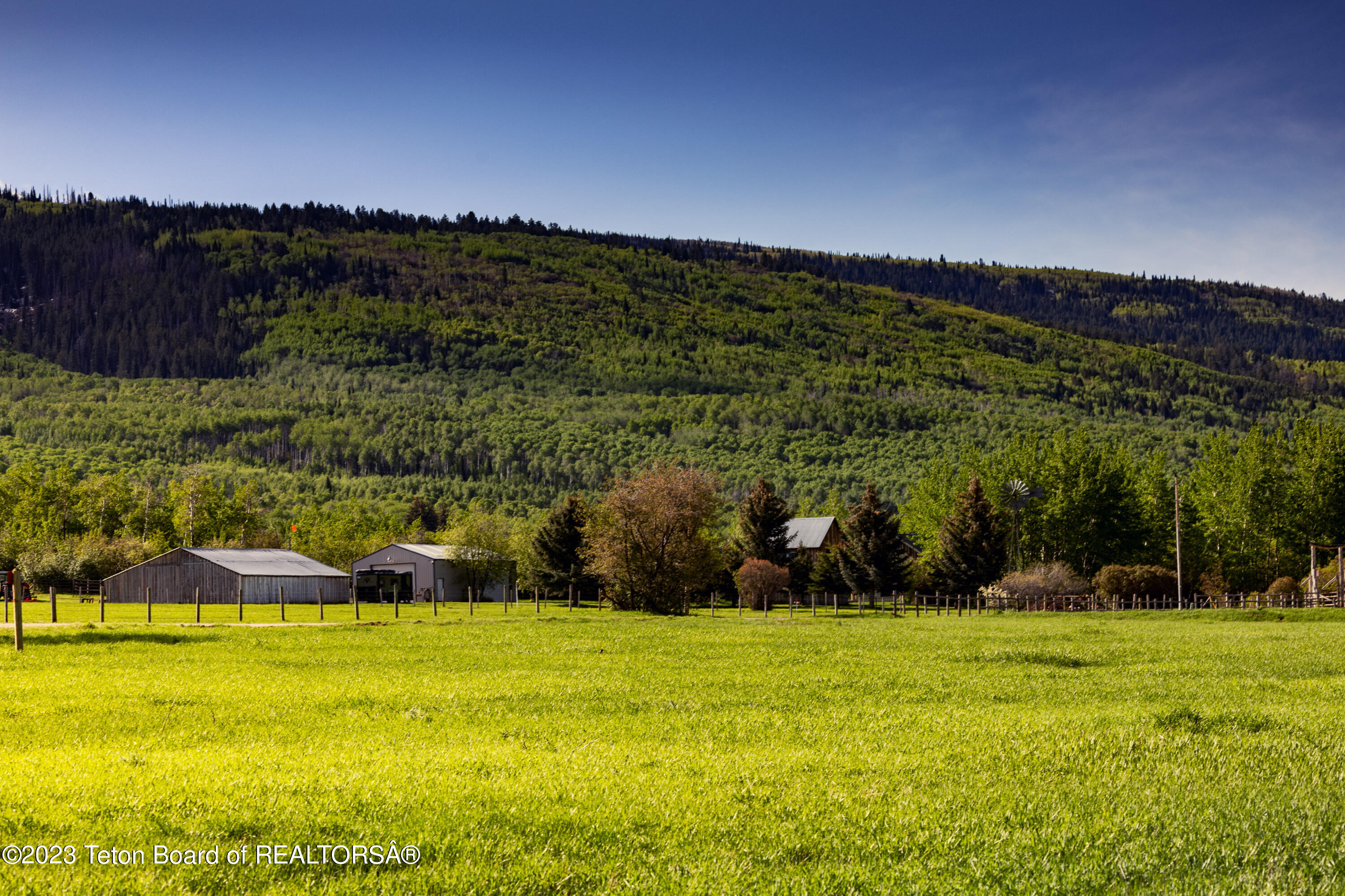 1735 Crooked Creek Road Alta, WY 83414 - Photo 6 of 9 _A1A7187