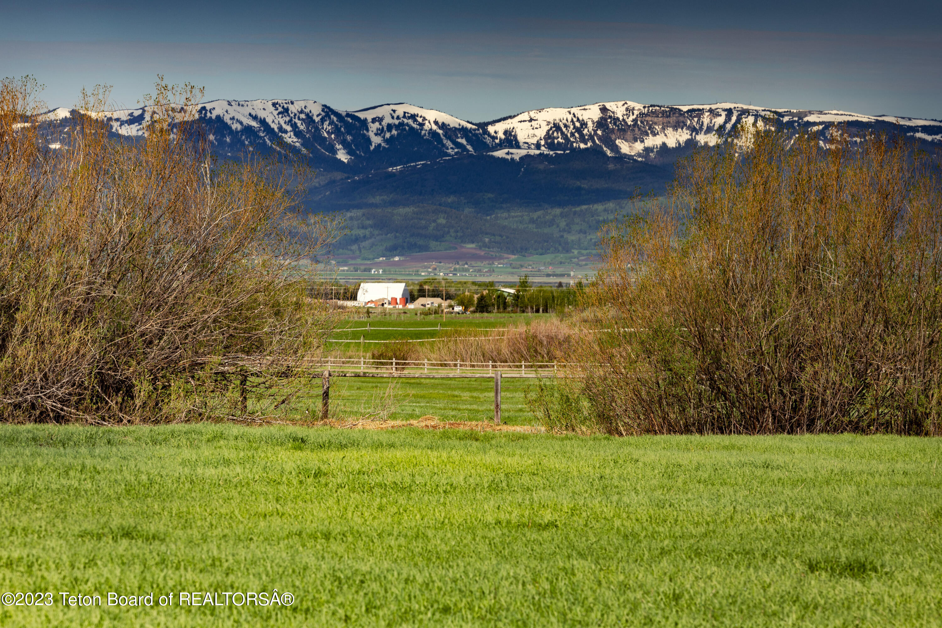1735 Crooked Creek Road Alta, WY 83414 - Photo 8 of 9 _A1A7184