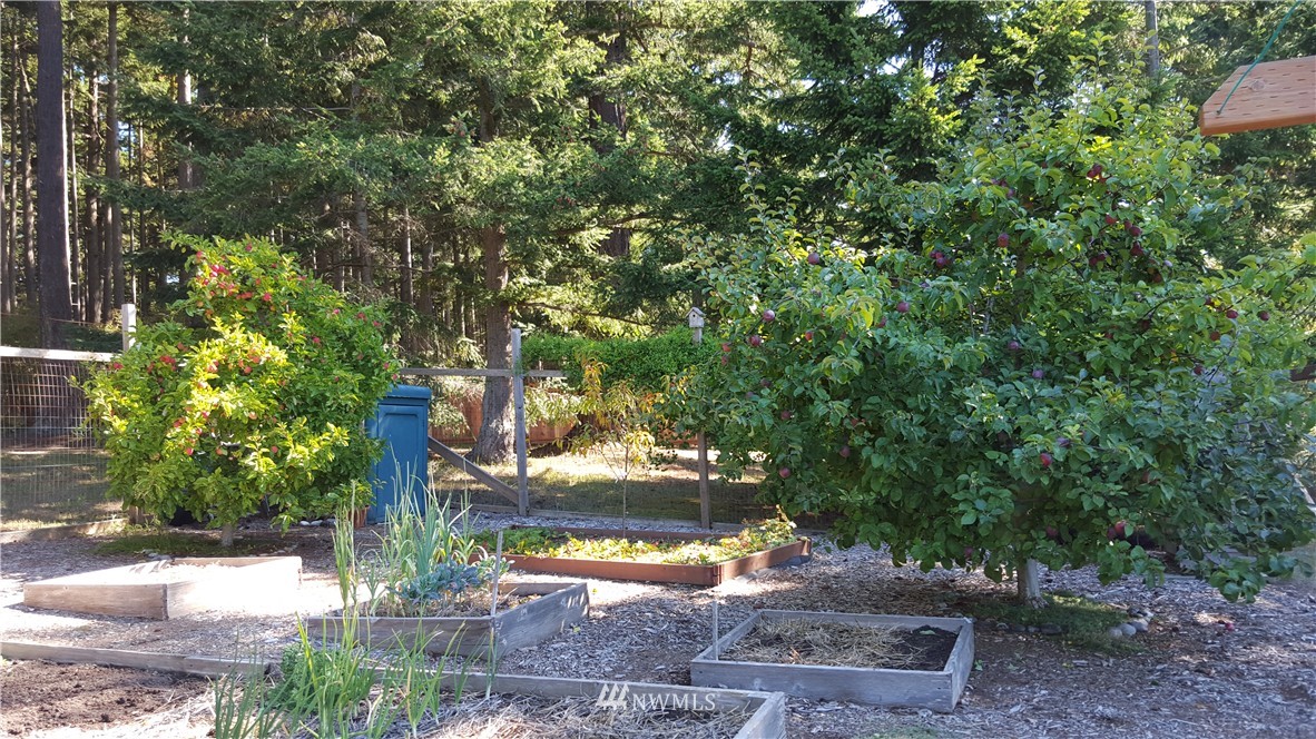 941 Mud Bay Road Lopez Island, WA 98261 - Photo 14 of 15 Gallery Image 14