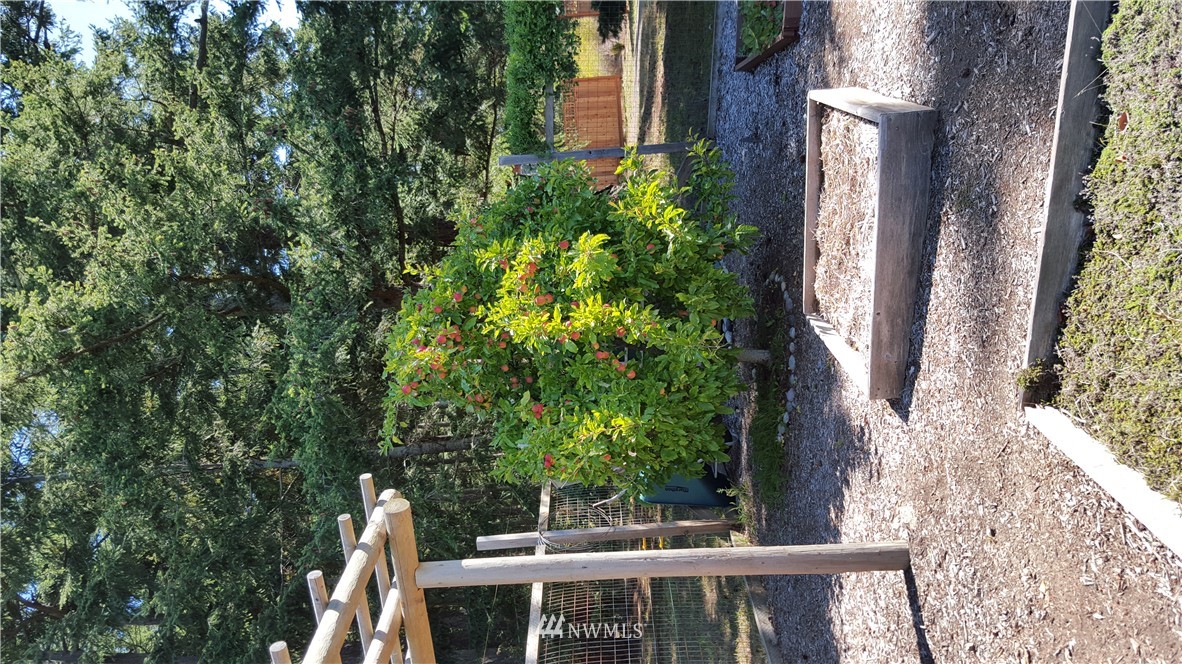 941 Mud Bay Road Lopez Island, WA 98261 - Photo 15 of 15 Gallery Image 15