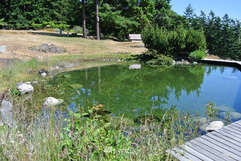 941 Mud Bay Road Lopez Island, WA 98261 - Photo 9 of 15 Gallery Image 9