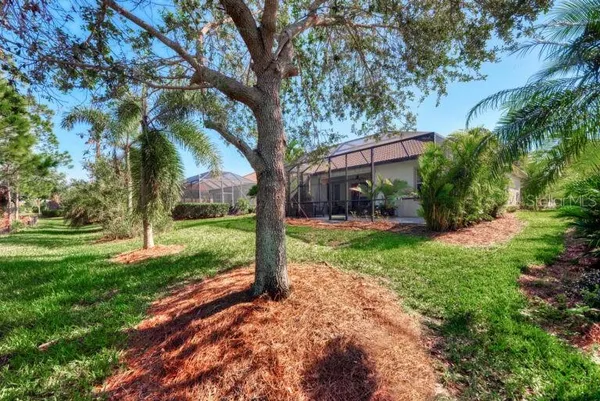 a view of a yard with plants and trees