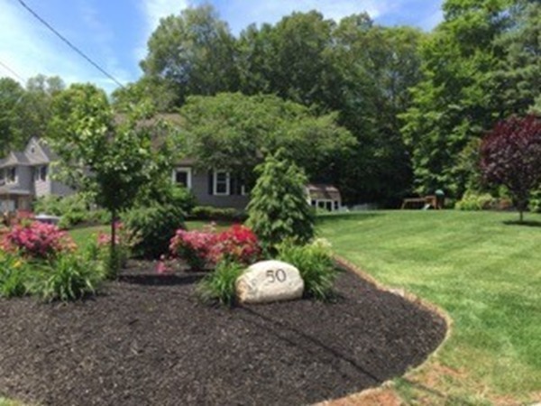 50 Shufelt Road Walpole, MA 02071 - Photo 2 of 30 Gallery Image 2