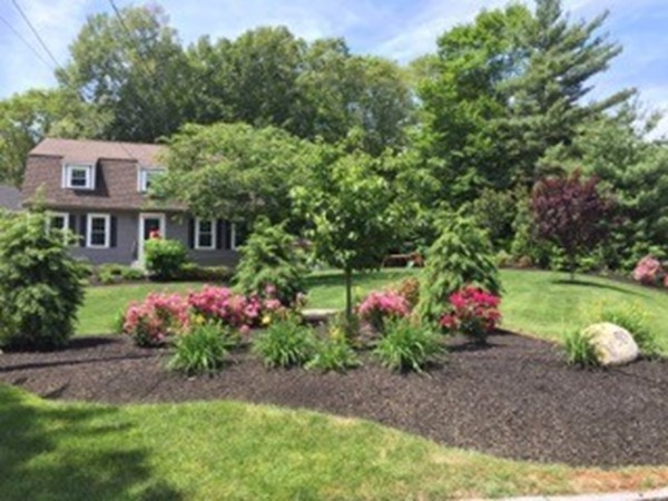 50 Shufelt Road Walpole, MA 02071 - Photo 4 of 30 Gallery Image 4