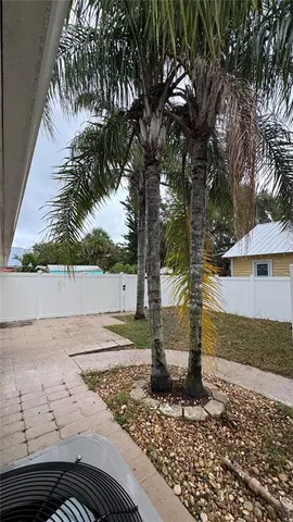 a view of a yard with plants and trees