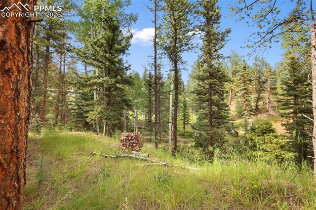 410 Rangeview Road Divide, CO 80814 - Photo 16 of 23 Property