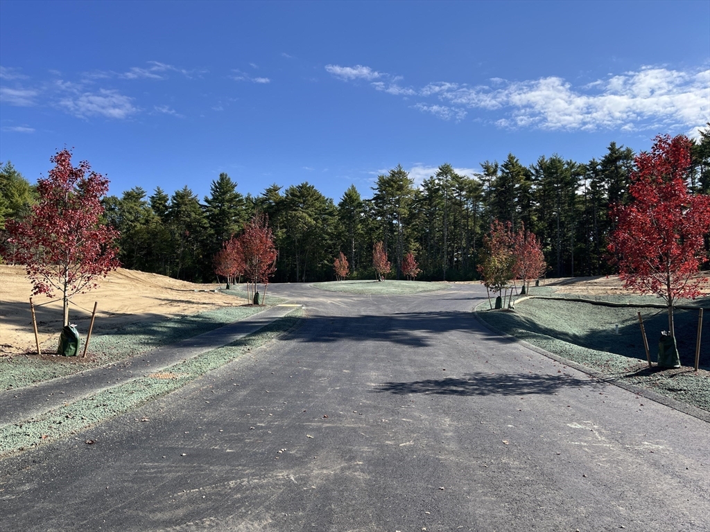 5 Ohana Way Carver, MA 02330 - Photo 8 of 10 a view of backyard with green space