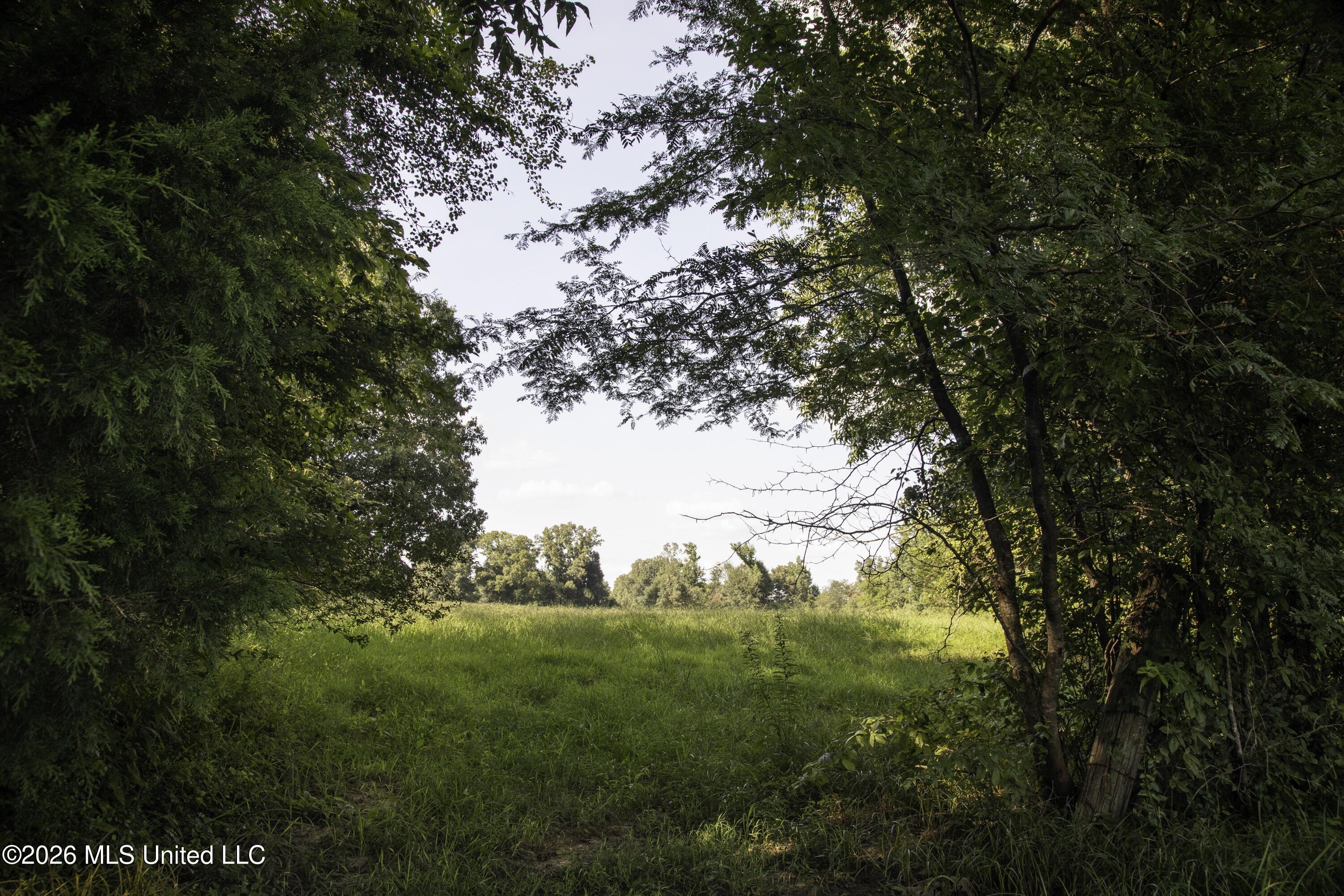 5376 Byhalia Road Hernando, MS 38632 - Photo 22 of 41 Ground View of Property