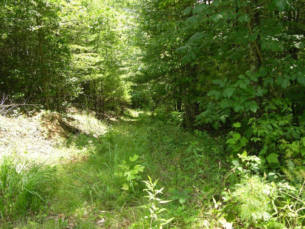 408 Piney Grove Road Hampton, TN 37658 - Photo 18 of 19 Photo 18