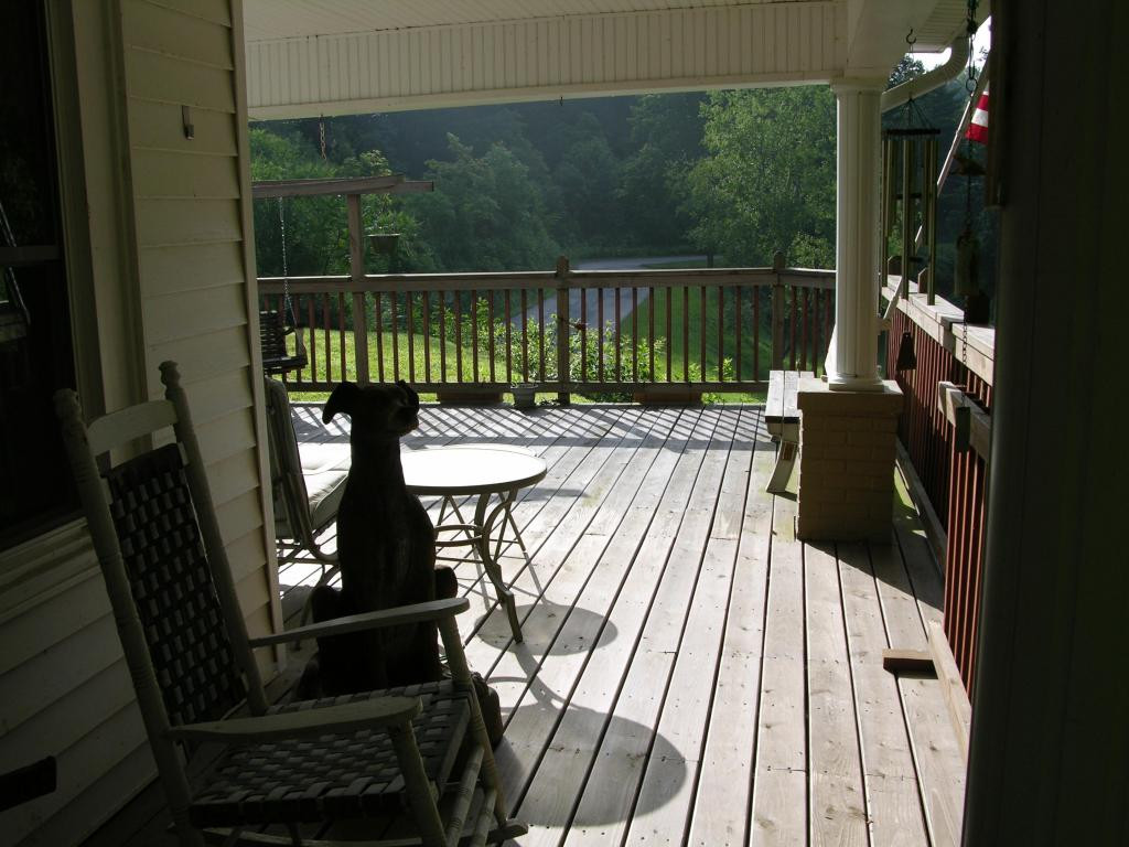 408 Piney Grove Road Hampton, TN 37658 - Photo 6 of 19 Photo 6