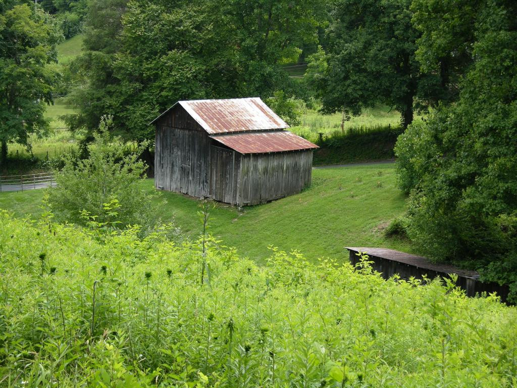 408 Piney Grove Road Hampton, TN 37658 - Photo 7 of 19 Photo 7