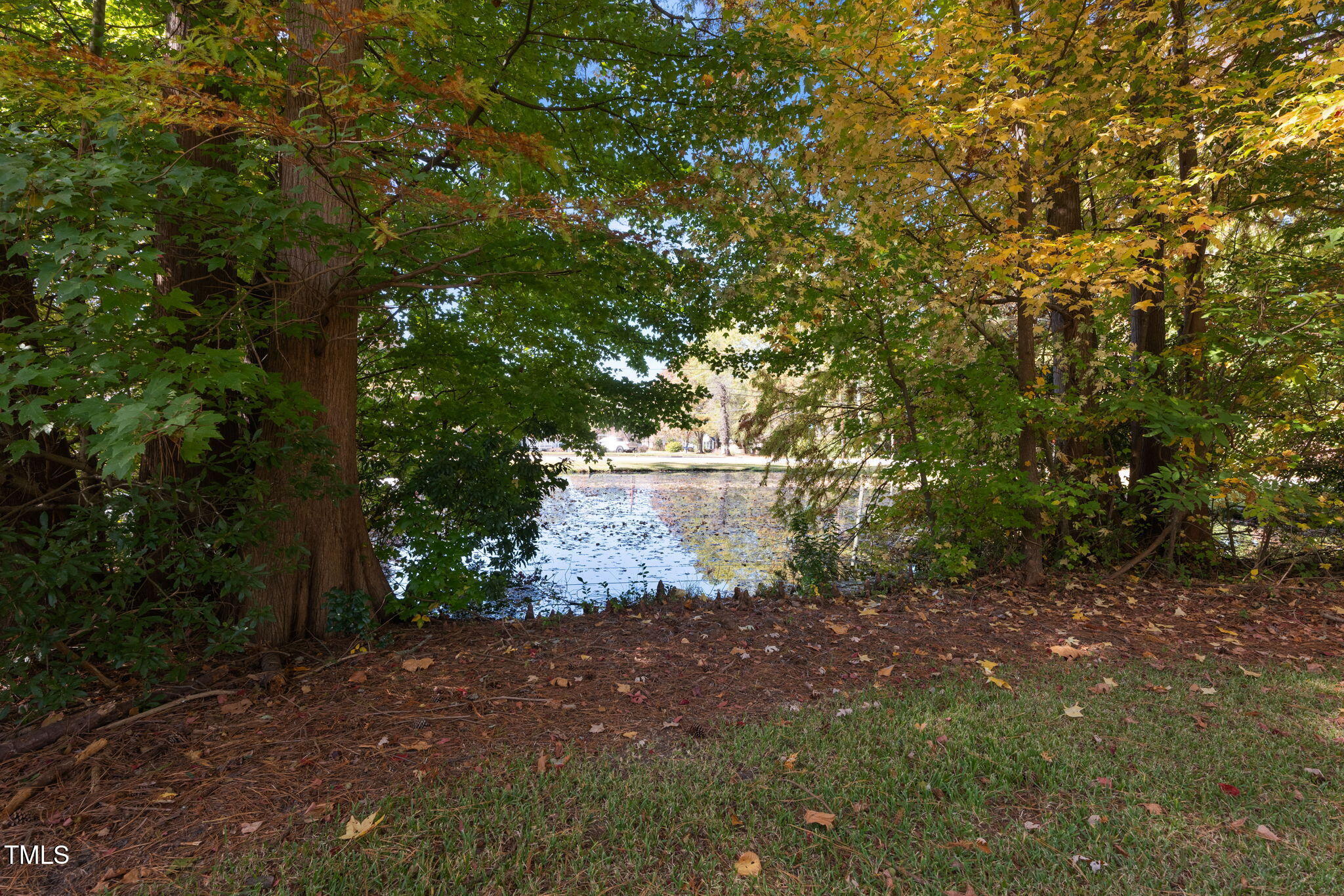 601 Aversboro Road Garner, NC 27529 - Photo 8 of 40 8-web-or-mls-P1268420
