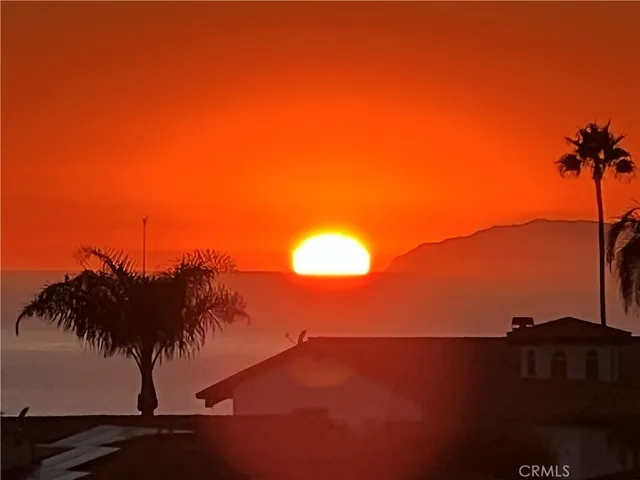 a dining room with furniture potted plants and wooden floor