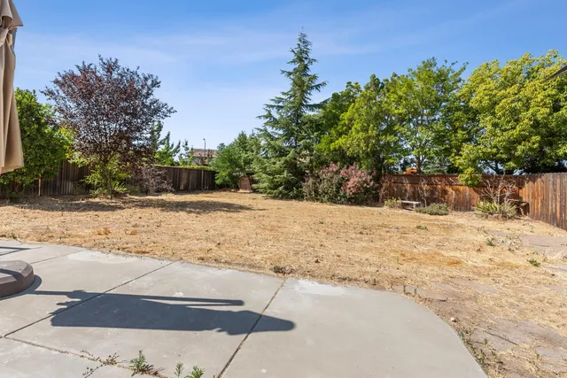 a view of a yard with a tree