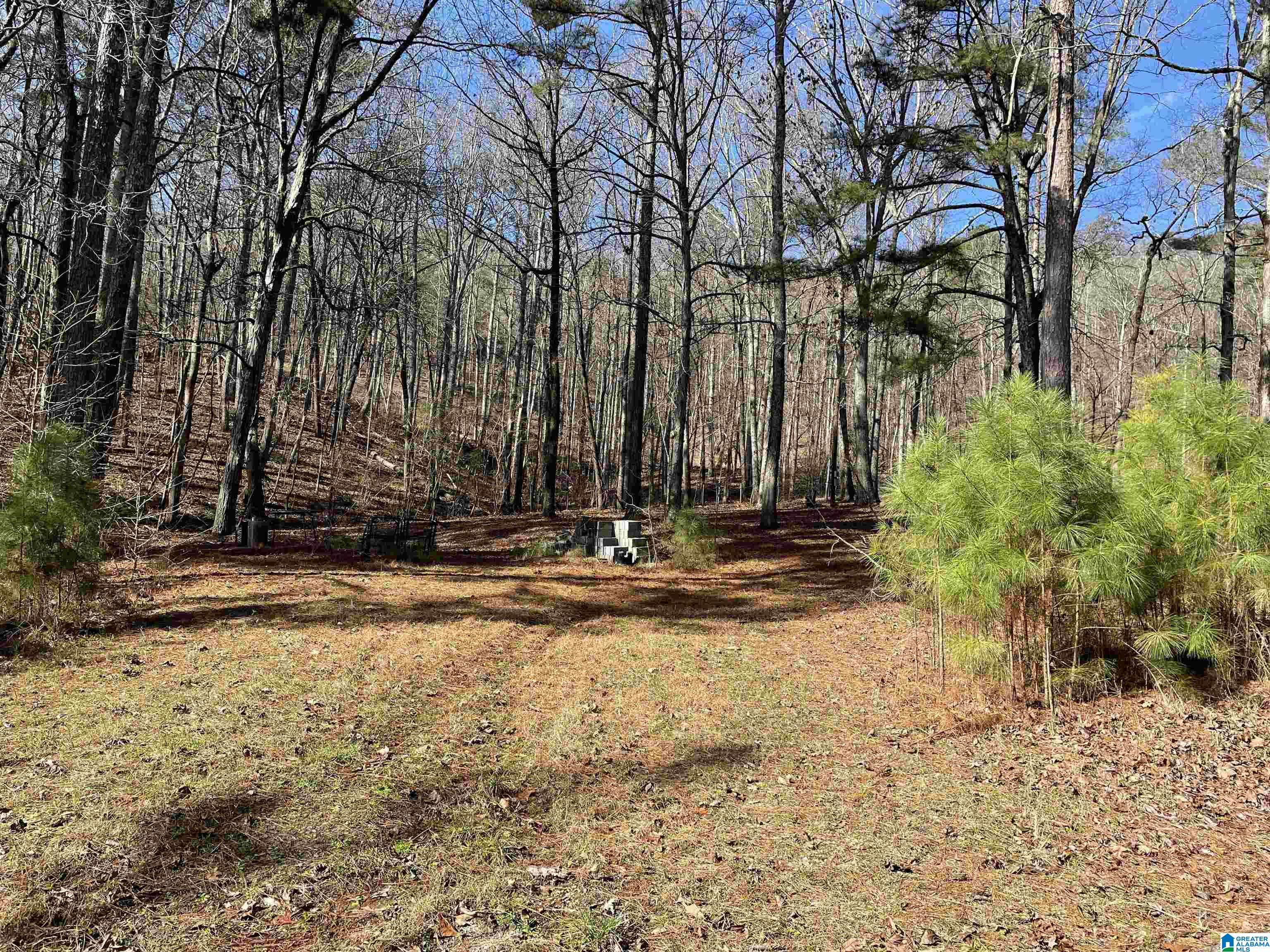 856 Whorton Bend Road, Unit 128 84 130 Rainbow City, AL 35906 - Photo 30 of 38