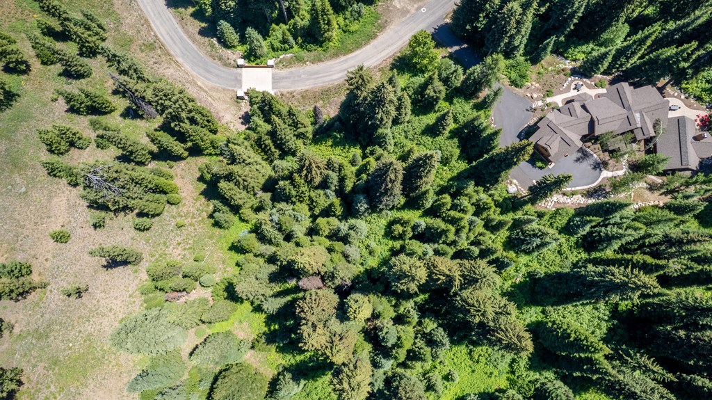 151 Pinnacle Court, Unit 47 Cascade, ID 83611 - Photo 8 of 24 Aerial