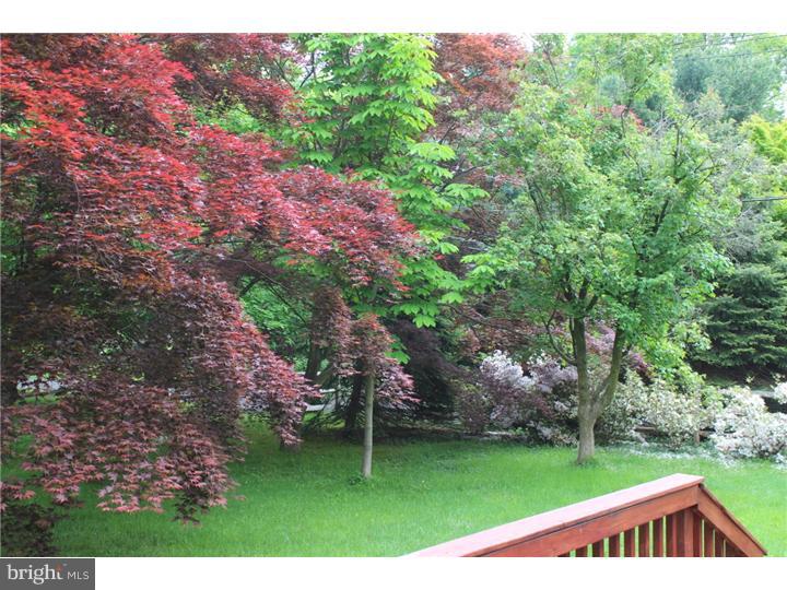 1804 Makefield Road Yardley, PA 19067 - Photo 14 of 23 View in Back